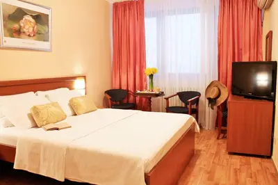 a hotel room with a bed and a television at Hotel Rex in Belgrade