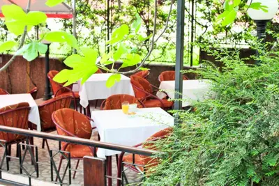 a restaurant with tables and chairs and plants at Hotel Rex in Belgrade