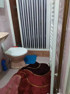 a bathroom with a toilet and a window at Apartment Ljupka in Pančevo