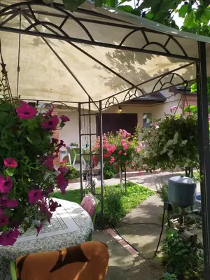 a garden under a tent with flowers and a table at Apartment Ljupka in Pančevo