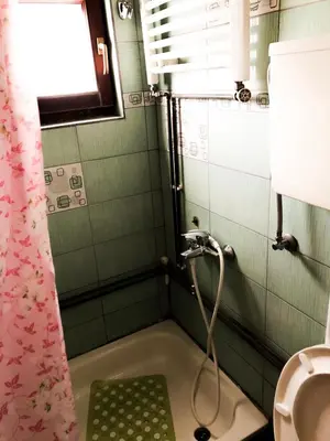 a bathroom with a shower and a sink at Vila Aleksandar in Smederevo