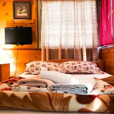 Vila Aleksandar