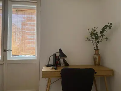 a desk with a vase of flowers and a window at Star apartment in Belgrade