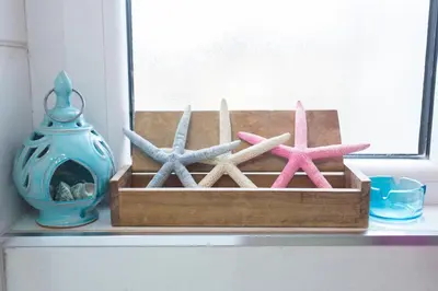 a wooden box with four starfish on a window sill at City Side Up Exclusive in Belgrade