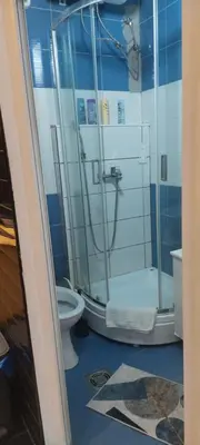 a bathroom with a shower and a toilet at Cute little apartment in Belgrade