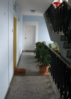 a hallway with a staircase with a potted plant at Garden in Belgrade