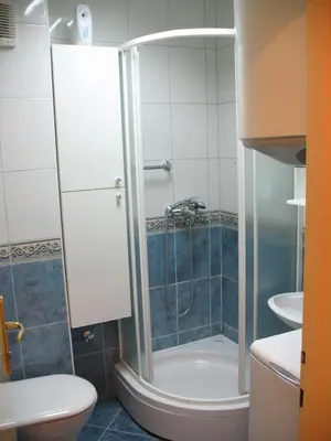 a bathroom with a shower with a toilet and a sink at Garden in Belgrade