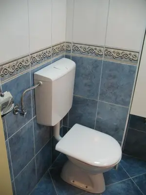 a toilet in a bathroom with blue tiles at Garden in Belgrade