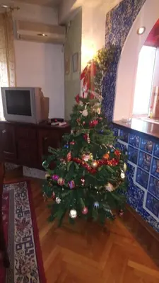 a christmas tree sitting in a living room at Garden in Belgrade