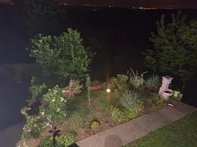 a garden at night with a light in the middle at Guest House Jevtović in Sremski Karlovci