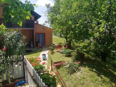 a garden with a fence and some plants at Guest House Jevtović in Sremski Karlovci
