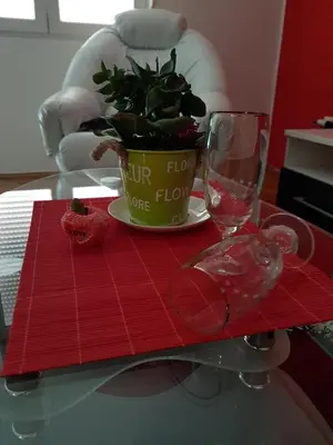 a glass table with a plant and a wine glass at Apartment Centar Deluxe in Smederevo