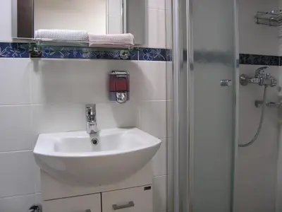 a bathroom with a sink and a shower at Apartment Danijela-City Centar in Belgrade
