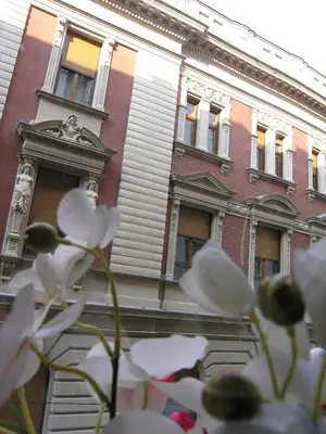 a bunch of white flowers in front of a building at Apartment Danijela-City Centar in Belgrade