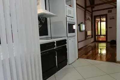 a kitchen with a stove and a microwave at Apartman Rustik in Belgrade