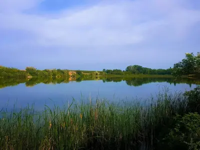 a view of a lake with grass and trees at Hotel Borkovac in Ruma