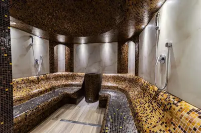 a bathroom with a large bath tub with a shower at Hotel Borkovac in Ruma