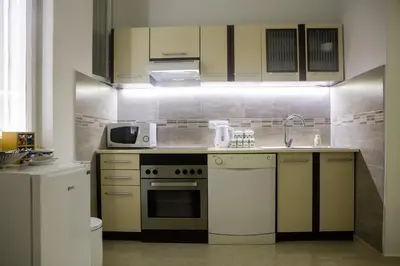 a kitchen with a stove and a microwave at Natalie's Apartment in Belgrade