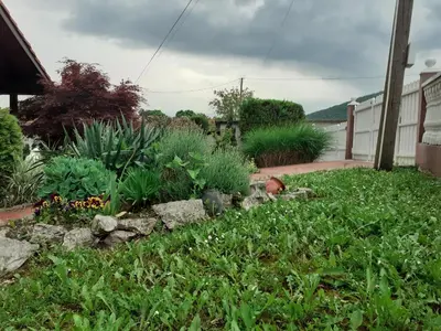 Gallery image of Apartmani 