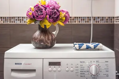 a vase of flowers sitting on top of a washing machine at Wizard House Belgrade in Belgrade