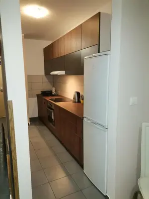 a kitchen with a white refrigerator and wooden cabinets at Apartment Andjela in Belgrade