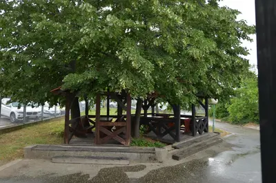 a group of picnic tables under a tree at Guesthouse Duga in Belgrade