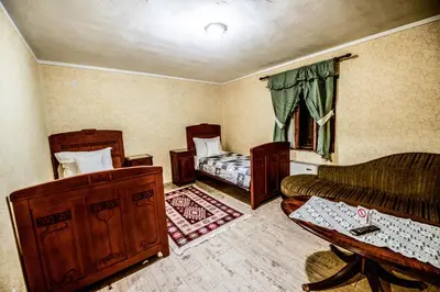 a living room with a bed and a couch at Srpsko Andrejevo Selo in Belgrade