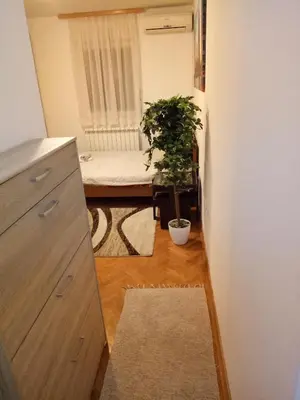 a room with a bed and a potted plant at Cozy studio Belgrade (Zemun) in Belgrade