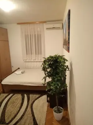 a bedroom with a bed and a potted plant at Cozy studio Belgrade (Zemun) in Belgrade