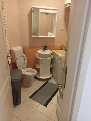 a bathroom with a toilet and a sink and a mirror at Cozy studio Belgrade (Zemun) in Belgrade