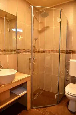 a bathroom with a shower with a sink and a toilet at Avenia Restaurant & Apartments in Ruma