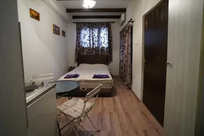a small room with a bed and a table and a sink at Apartman Rale in Belgrade