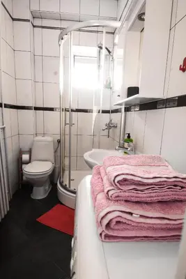 a bathroom with a sink and a toilet and a shower at Apartment Petra 071 in Belgrade