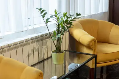 two yellow chairs and a potted plant on a glass table at Garni House 46 Plus in Belgrade