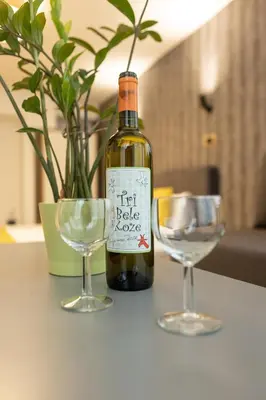 a bottle of wine and two glasses on a table at Garni House 46 Plus in Belgrade
