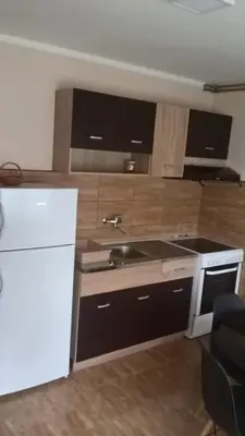 a kitchen with a sink and a white refrigerator at Djurdja 2 Apartman in Arandjelovac