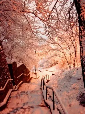 a group of benches covered in snow under trees at Beograd - apartman 