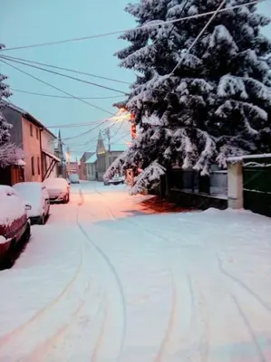 a snow covered street with a snow covered tree at Beograd - apartman 
