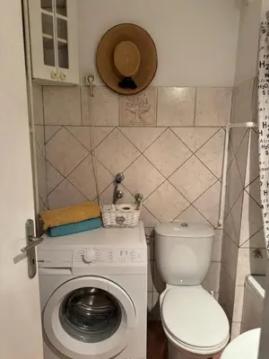 a small bathroom with a washing machine and a toilet at Principessa Apartment in Belgrade