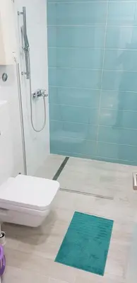 a bathroom with a shower and a toilet and a green rug at Asya Studio in Belgrade