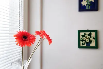a red flower in a vase next to a wall at Apartment Paradise Sunny Home in Belgrade