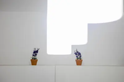 two plants on a white shelf with a window at Natalie's Studio in Belgrade