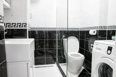 a bathroom with a toilet and a washing machine at Natalie's Studio in Belgrade