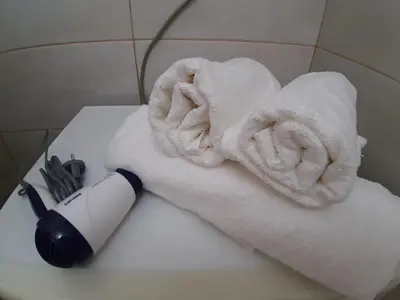a towel and a hair dryer sitting on a toilet at Apartment Teodora in Belgrade
