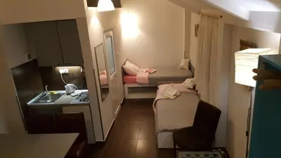 a small apartment with a sink and a small room at Green point Apartments in Dušanovac (historical)