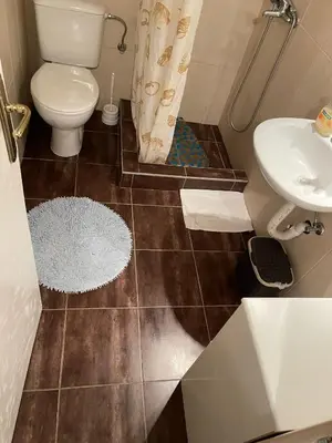 a bathroom with a toilet and a sink at Apartments Forest in Belgrade
