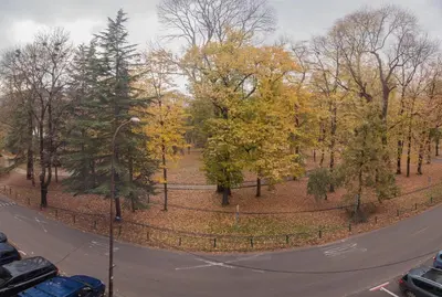 a fence around a park with trees and a road at Park Apartman in Arandjelovac