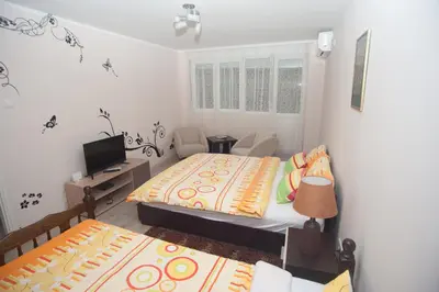 a small room with two beds and a television at Park Apartman in Arandjelovac