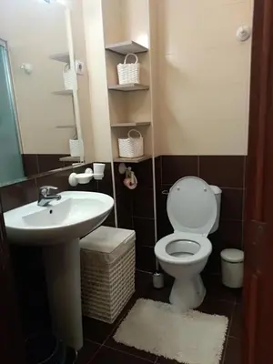 a bathroom with a toilet and a sink at Apartman Nina Vojvode Stepe Vozdovac in Voždovac
