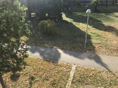 a shadow of a street light on a sidewalk at Lovely Apartment 2 in Belgrade